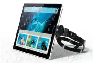 online-dive-training-cropped online-dive-training-cropped
